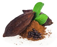 Kakao Schulmilch