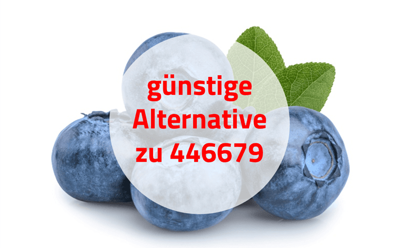 Heidelbeere SI