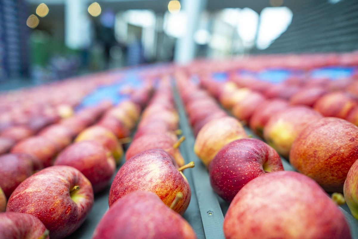 Messe Fruchtwelt in Friedrichshafen