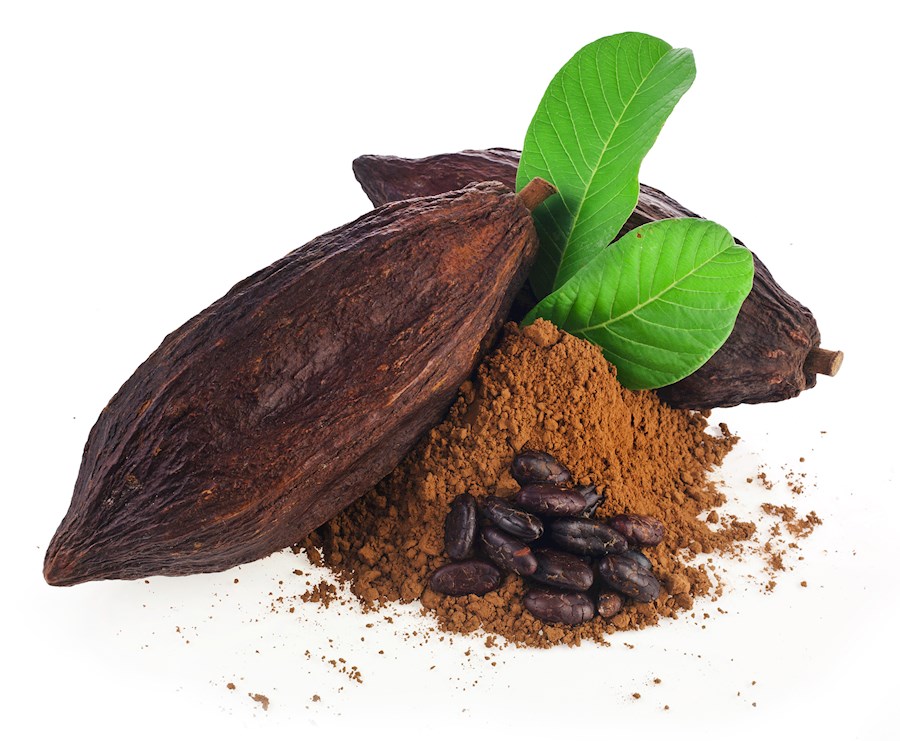 Kakao Schulmilch